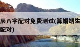 婚姻生辰八字配对免费测试(算婚姻生辰八字算婚姻配对)