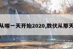 数伏从哪一天开始2020,数伏从那天开始