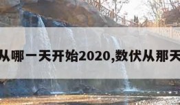 数伏从哪一天开始2020,数伏从那天开始