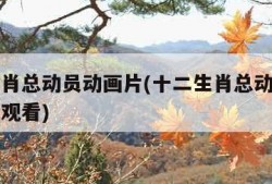 十二生肖总动员动画片(十二生肖总动员动画片全集观看)