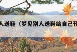 梦见别人送鞋（梦见别人送鞋给自己预示什么?）