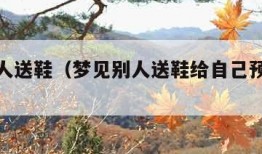 梦见别人送鞋（梦见别人送鞋给自己预示什么?）