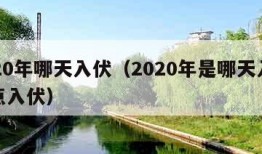 2020年哪天入伏（2020年是哪天入伏几点入伏）