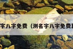 测名字八字免费（测名字八字免费算命）