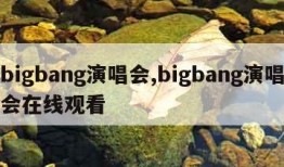 bigbang演唱会,bigbang演唱会在线观看