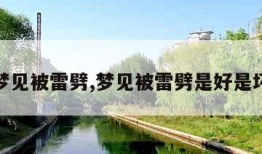 梦见被雷劈,梦见被雷劈是好是坏