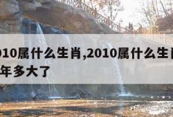 2010属什么生肖,2010属什么生肖 今年多大了