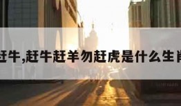 赶牛,赶牛赶羊勿赶虎是什么生肖