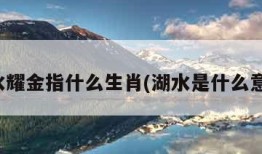 湖水耀金指什么生肖(湖水是什么意思)