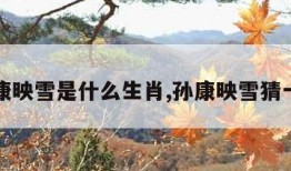 孙康映雪是什么生肖,孙康映雪猜一肖