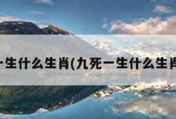 九死一生什么生肖(九死一生什么生肖最佳)