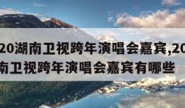 2020湖南卫视跨年演唱会嘉宾,2020湖南卫视跨年演唱会嘉宾有哪些