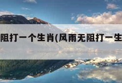 风雨无阻打一个生肖(风雨无阻打一生肖和数字)