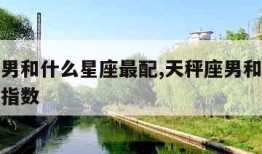 天秤座男和什么星座最配,天秤座男和什么座最配对指数