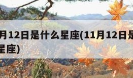 10月12日是什么星座(11月12日是什么星座)