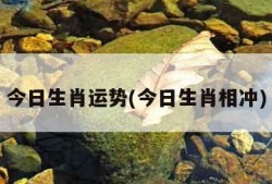 今日生肖运势(今日生肖相冲)