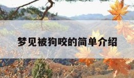 梦见被狗咬的简单介绍