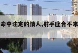 射手座命中注定的情人,射手座合不来的三大星座