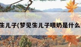 梦见生儿子(梦见生儿子喂奶是什么意思)