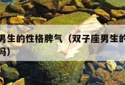 双子座男生的性格脾气（双子座男生的性格脾气暴躁吗）