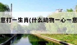 一心一意打一生肖(什么动物一心一意打一生肖)