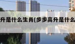 步步高升是什么生肖(步步高升是什么生肖动物)