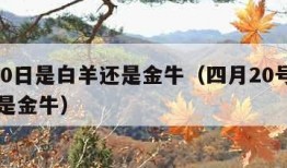 4月20日是白羊还是金牛（四月20号是白羊还是金牛）