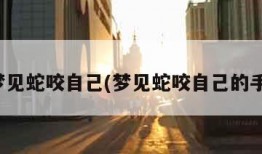 梦见蛇咬自己(梦见蛇咬自己的手)