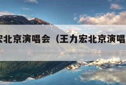 王力宏北京演唱会（王力宏北京演唱会2023）