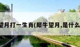 犀牛望月打一生肖(犀牛望月,是什么生肖)