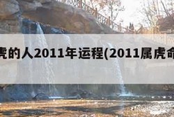 属虎的人2011年运程(2011属虎命运)
