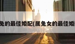 属兔的最佳婚配(属兔女的最佳婚配)