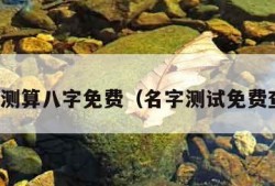 名字测算八字免费（名字测试免费查询）