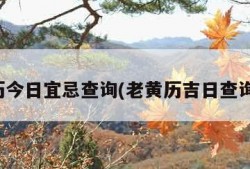 老黄历今日宜忌查询(老黄历吉日查询今日)