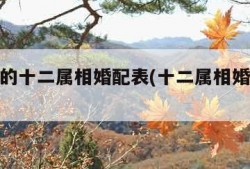 最准确的十二属相婚配表(十二属相婚姻搭配表)
