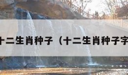 十二生肖种子（十二生肖种子字）