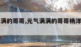 元气满满的哥哥,元气满满的哥哥杨洋参加了哪期