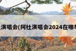 阿杜演唱会(阿杜演唱会2024在哪举办)