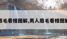 男人眉毛看相图解,男人眉毛看相图解命运