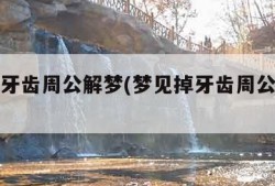 梦见掉牙齿周公解梦(梦见掉牙齿周公解梦原版)