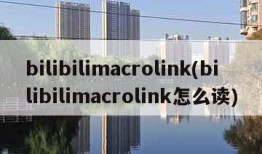 bilibilimacrolink(bilibilimacrolink怎么读)
