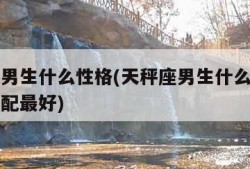 天秤座男生什么性格(天秤座男生什么性格和女生相配最好)