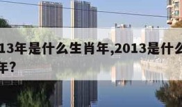 2013年是什么生肖年,2013是什么生肖年?