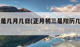 年三十是几月几日(正月初三是阳历几月几日)