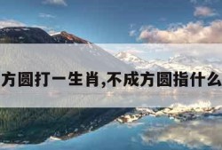 不成方圆打一生肖,不成方圆指什么意思