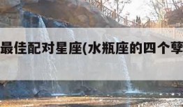 水瓶座最佳配对星座(水瓶座的四个孽缘星座)