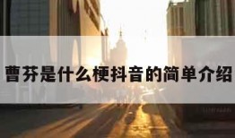 曹芬是什么梗抖音的简单介绍