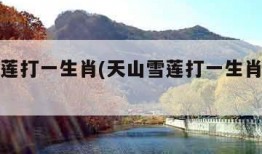 天山雪莲打一生肖(天山雪莲打一生肖是什么动物)