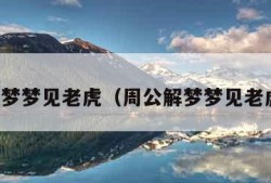 周公解梦梦见老虎（周公解梦梦见老虎狮子）