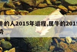 属牛的人2015年运程,属牛的2015年运势